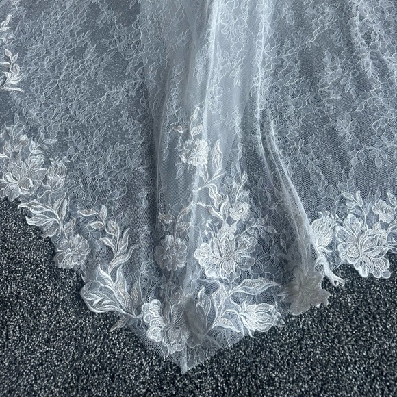Pronovias Erebus Wedding Dress - Picture 6 of 8